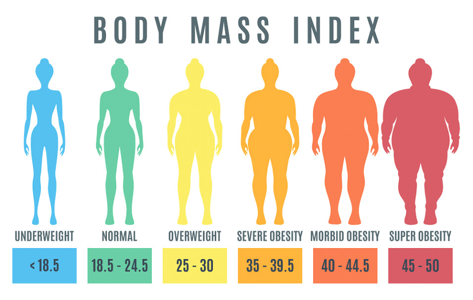 body mass